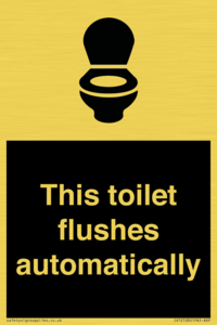 This toilet flushes automatically